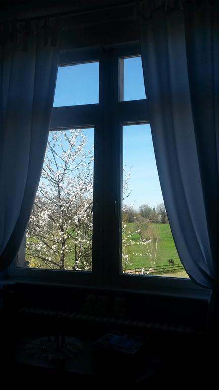 Chambres D'Hotes Du Haras De Coddes Cercy-la-Tour Zimmer foto